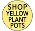 yellow plant pots