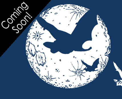 New Bat Design!