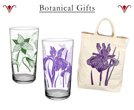 Botanical Gifts, Floral Designs, Gifts For Mom, Vintage Glasses - Skull Glass, Botanical Glasses