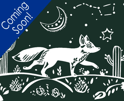 Celestial Fox Design