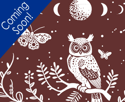 Celestial Owl Design
