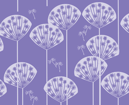 Dandelion Collection