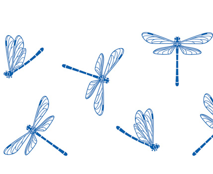 Dragonfly Design