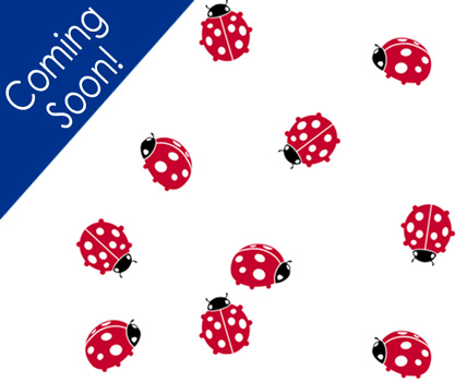 New! Ladybug Design
