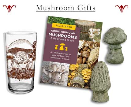 Mushroom Designs - Mushroom Gifts