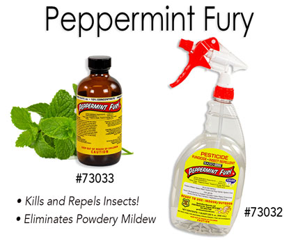 Peppermint Fury - Natural Pest Control
