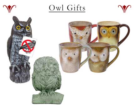 Owl Gifts, Owl Decor, Owl Mugs, gardeners gifts, Unique gifts, Owl mugs