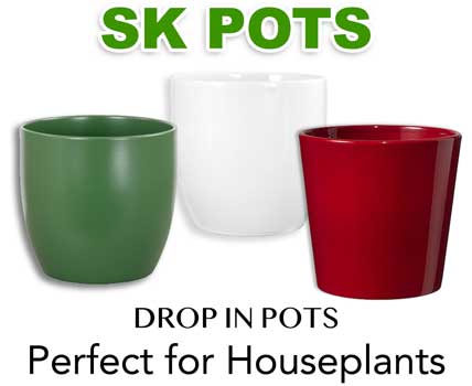 Wholesale Plant Pots- SK pots