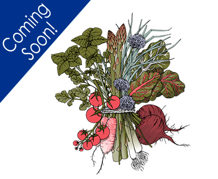 Vegetable Design
