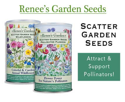 Renee's Scatter Seeds - Wholesale 2025