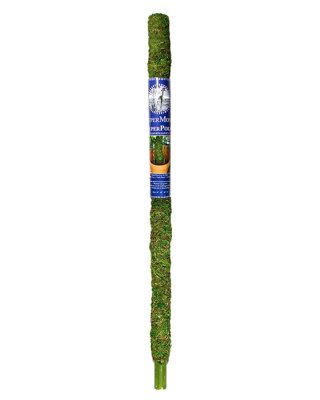 Moss Pole 36"