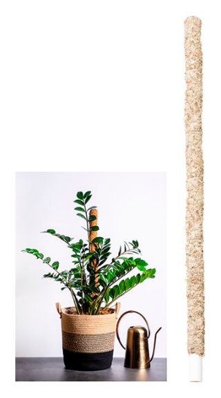 Sphagnum Moss Pole 36"