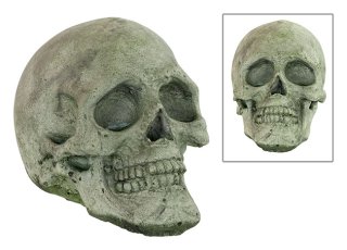 Concrete Skull