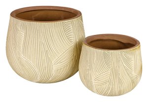 Indoor Pot Combed S/2