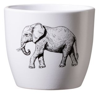 Sk Elephant 3" White