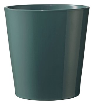 Sk Dallas 2.75" Sea Green*cna