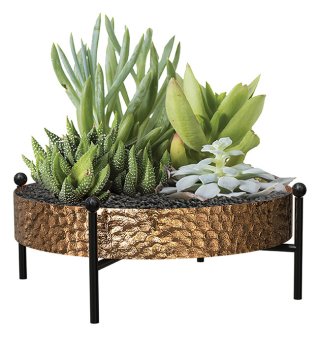 Tabletop Copper Tray W/stand10 - plant stand