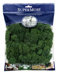 Reindeer Moss 4ozforest Green Supermoss packs Wholesale
