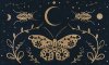 Coir Mat/pvc Moon Moth
